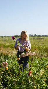 BIOSHOTS op Instagram